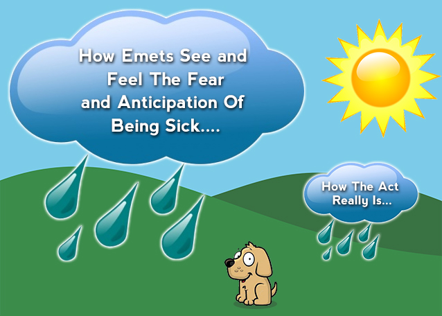 How Emets See and Feel The Fear